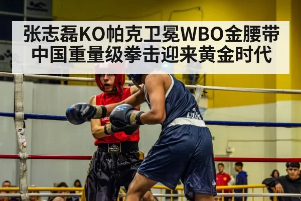 张志磊KO帕克卫冕WBO金腰带 中国重量级拳击迎来黄金时代